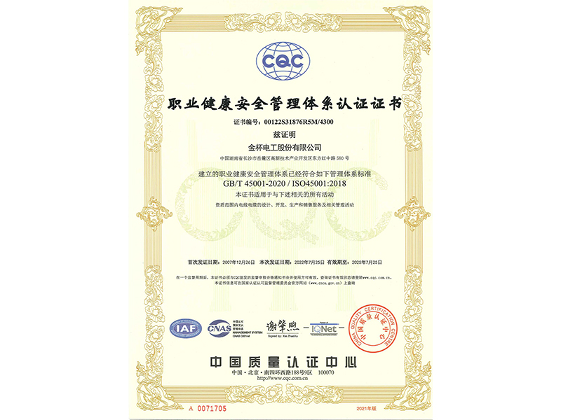 职业康健清静治理系统证书